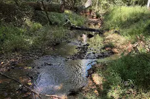 249 Cedar Hill Rd, Six Mile, SC 29682 - Photo 39