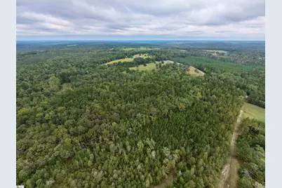 9816 Neely Ferry Road, Waterloo, SC 29384 - Photo 5