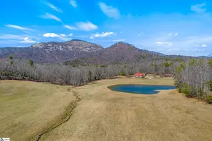 527 Doe Run, Pickens, SC 29671 - Photo 39