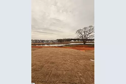 206 Plain Post Trail, Simpsonville, SC 29681 - Photo 17