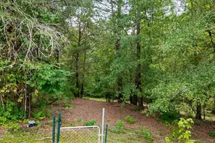 412 Simms School Rd, Central, SC 29630 - Photo 31