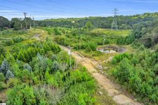 117 Bracken Ln, Easley, SC 29642 - Photo 19