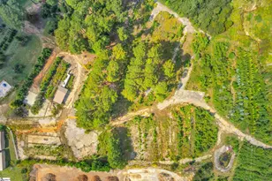 117 Bracken Ln, Easley, SC 29642 - Photo 11