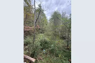 9000 U.S. 221 Highway, Woodruff, SC 29388 - Photo 7