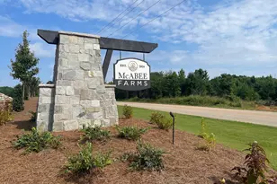 4007 Hollybank Dr, Spartanburg, SC 29303 - Photo 17