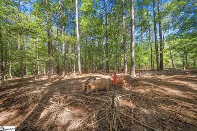 1660 Kilgore Bridge Road, Woodruff, SC 29388 - Photo 29