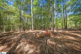 1660 Kilgore Bridge Rd, Woodruff, SC 29388 - Photo 29