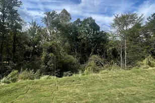 21 Sweetgrass St, Central, SC 29630 - Photo 43