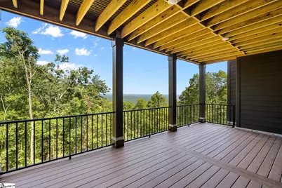 811 Raven Road, Landrum, SC 29356 - Photo 29