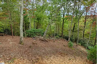 435 Augusta Links Trail, Travelers Rest, SC 29690 - Photo 3