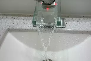 17 Furman St, Greenville, SC 29611 - Photo 13