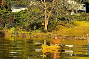 41 Lake Ridge Dr, Greenville, SC 29611 - Photo 37