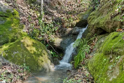 41 Lake Ridge Drive, Greenville, SC 29611 - Photo 39