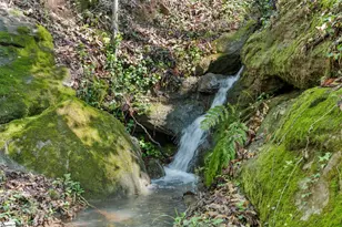 41 Lake Ridge Dr, Greenville, SC 29611 - Photo 39