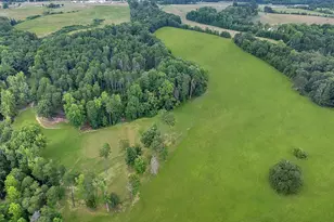 1360 Skunk Hollow Rd, Campobello, SC 29322 - Photo 31
