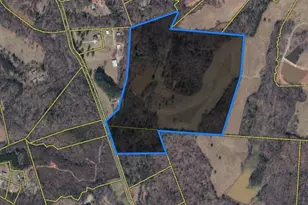 1360 Skunk Hollow Rd, Campobello, SC 29322 - Photo 35