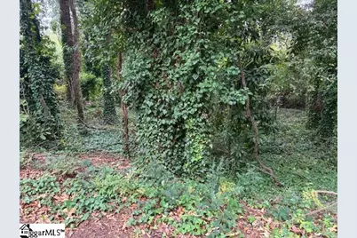 00 Dogwood Circle, Clinton, SC 29325 - Photo 3