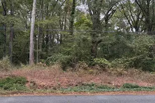 0 Dogwood Cir, Clinton, SC 19325 - Photo 1