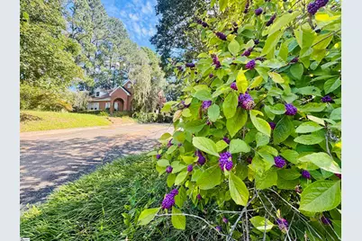 302 Chestnut Street, Abbeville, SC 29620 - Photo 45