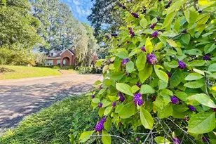 302 Chestnut St, Abbeville, SC 29620 - Photo 45