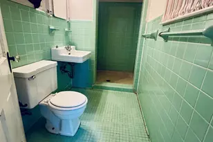 302 Chestnut St, Abbeville, SC 29620 - Photo 33