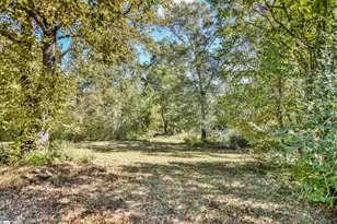 309 Hillside Church Rd, Fountain Inn, SC 29644 - Photo 21