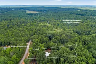 1298 Mordeci Mountain Rd, Gray Court, SC 29645 - Photo 37