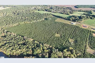 695 Young Road, Clinton, SC 29325 - Photo 25