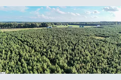 695 Young Road, Clinton, SC 29325 - Photo 19