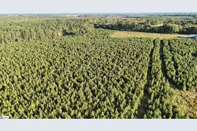 695 Young Road, Clinton, SC 29325 - Photo 17