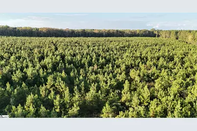 695 Young Road, Clinton, SC 29325 - Photo 5