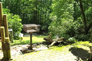 4828 Hwy 11, Pickens, SC 29671 - Photo 13