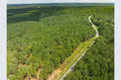 00 Neal Shoals Road, Union, SC 29379 - Photo 3