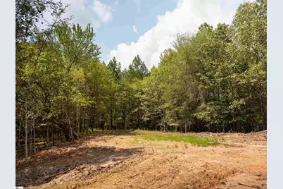 00 Neal Shoals Road, Union, SC 29379 - Photo 15