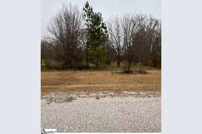 00 Blakely Avenue, Laurens, SC 29360 - Photo 3