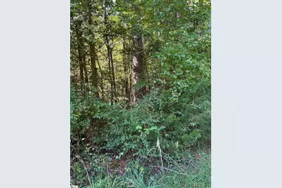 0 Sparkstown Drive, Union, SC 29335 - Photo 3