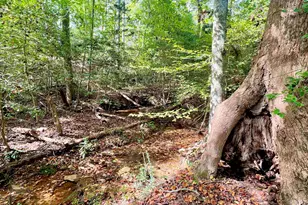 160 Smith Motors Dr, Belton, SC 29627 - Photo 35