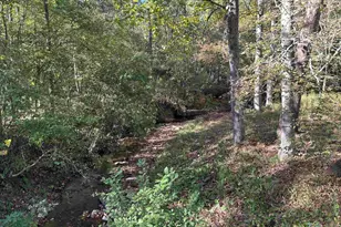 994 Chestnut Ridge Rd, Gaffney, SC 29340 - Photo 19