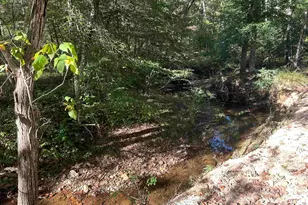 994 Chestnut Ridge Rd, Gaffney, SC 29340 - Photo 21