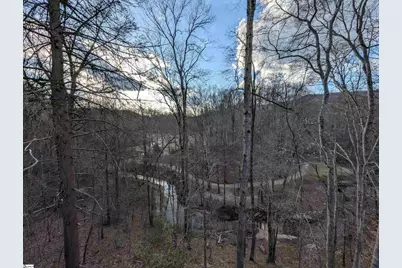 262 Belvoir Drive, Pickens, SC 29671 - Photo 49