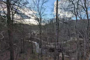 262 Belvoir Dr, Pickens, SC 29671 - Photo 49