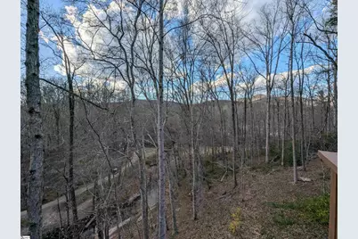 262 Belvoir Drive, Pickens, SC 29671 - Photo 37