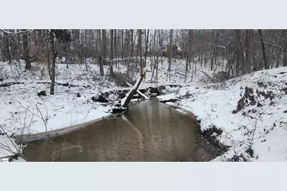 262 Belvoir Drive, Pickens, SC 29671 - Photo 41