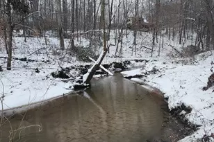 262 Belvoir Dr, Pickens, SC 29671 - Photo 41