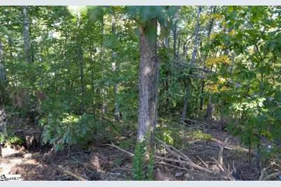 0 Chandler Road, Greer, SC 29651 - Photo 45