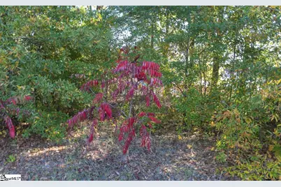 0 Chandler Road, Greer, SC 29651 - Photo 5