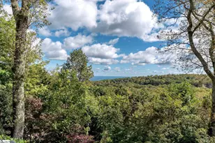 220 Yellowroot Ln, Landrum, SC 29356 - Photo 17