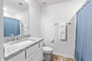 314 Highline Trl, Greenville, SC 29607 - Photo 13