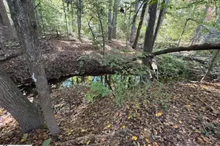 585 Mountain Creek Rd, Greenville, SC 29609 - Photo 35