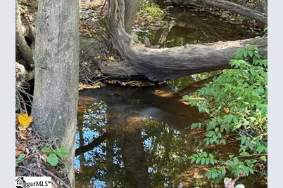 585 Mountain Creek Road, Greenville, SC 29609 - Photo 37